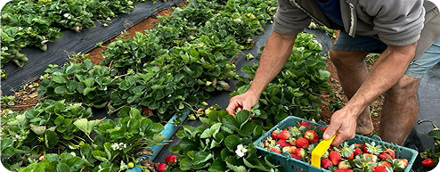 Rodoviária do Plano Piloto